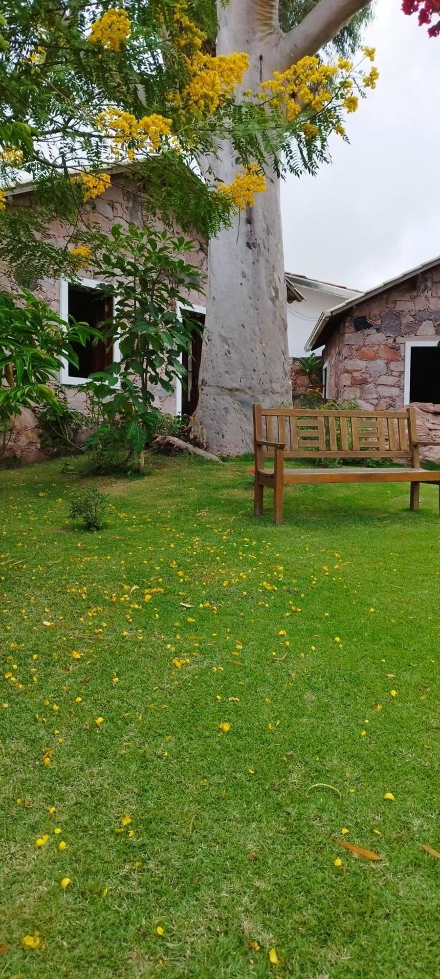 Oforasteiro Mucugê Exterior foto