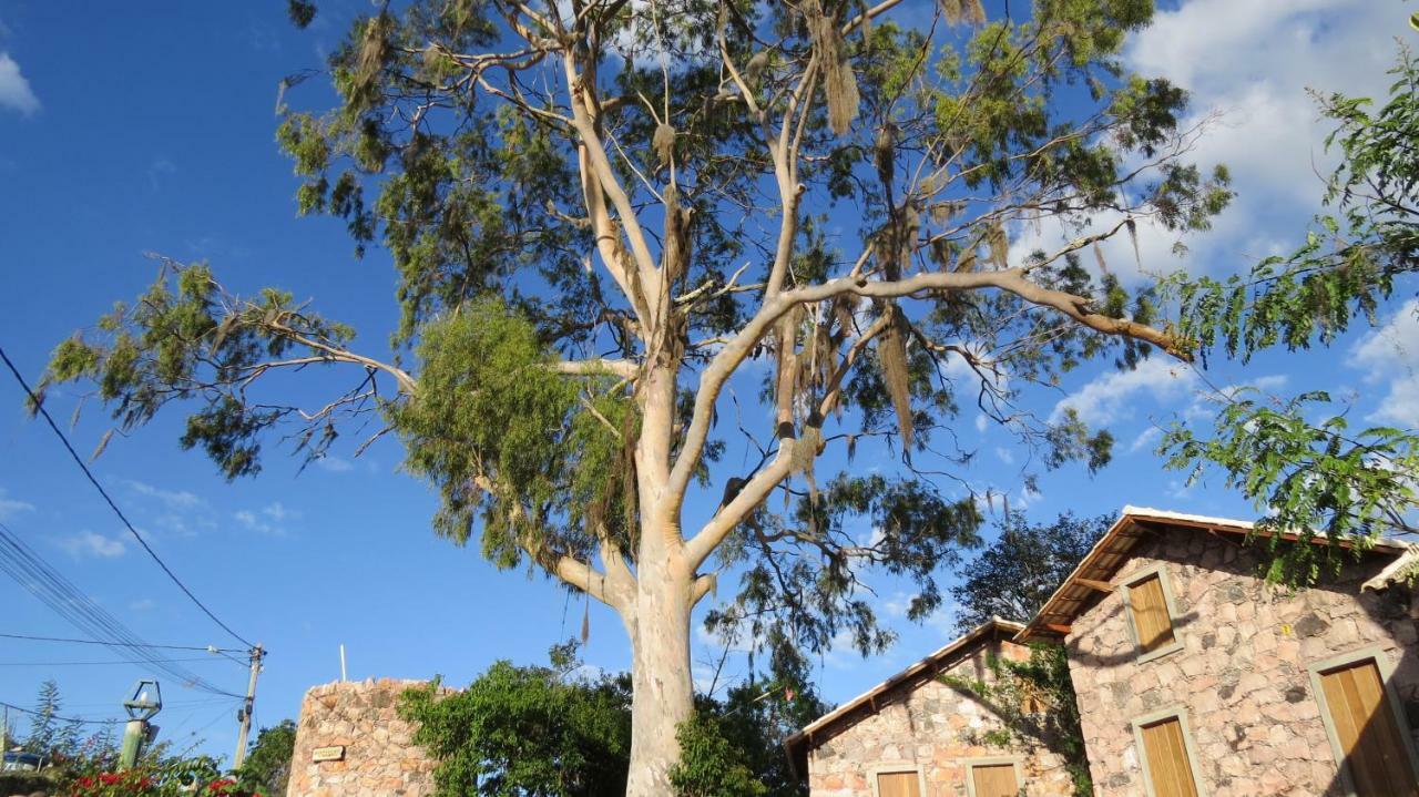 Oforasteiro Mucugê Exterior foto